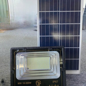 Đèn NLMT 300w